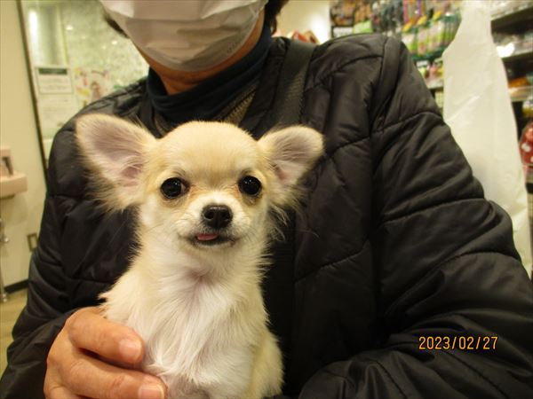 写真