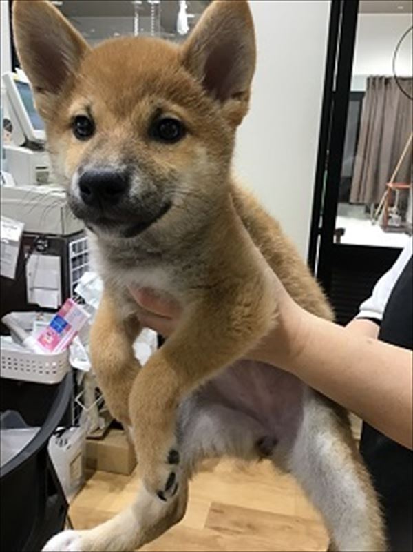 写真