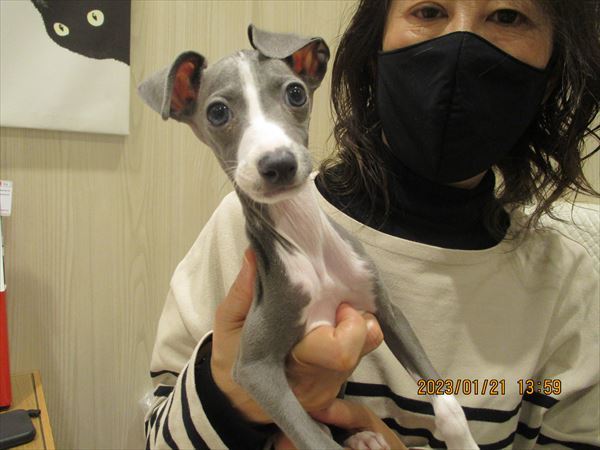 写真