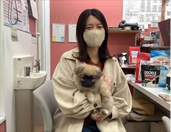 写真