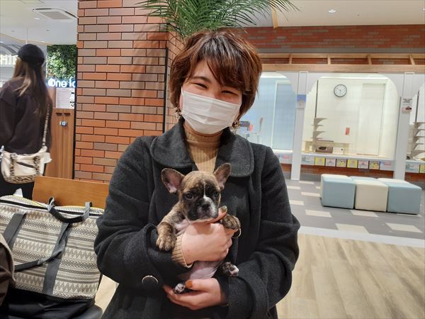 写真