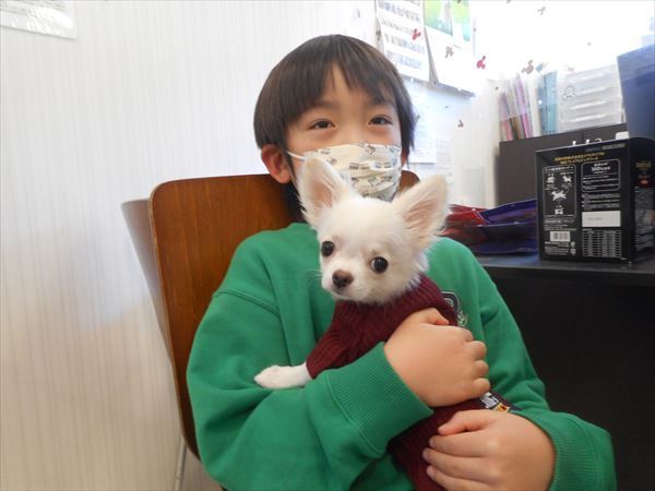 写真