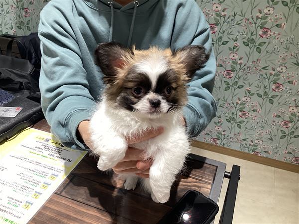 写真