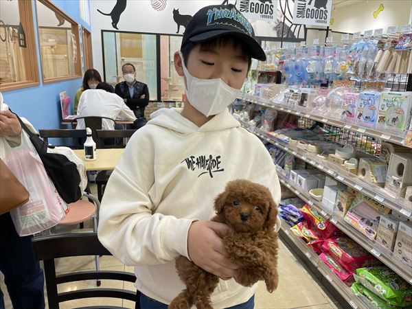 写真