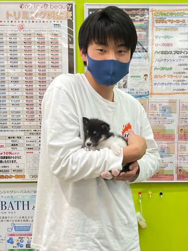 写真