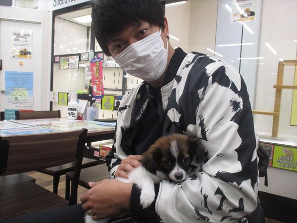 写真