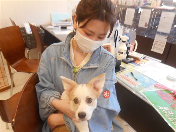 写真