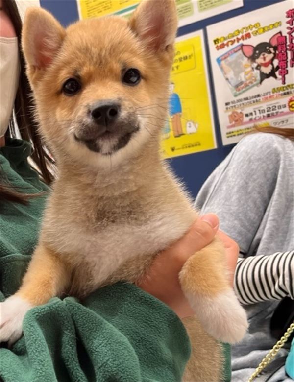 写真