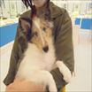 写真