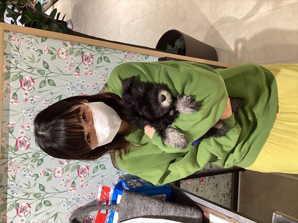写真