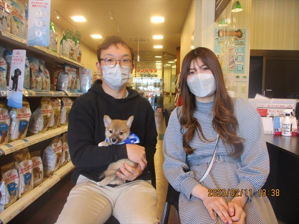 写真