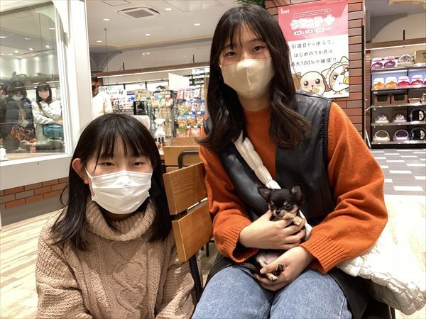 写真