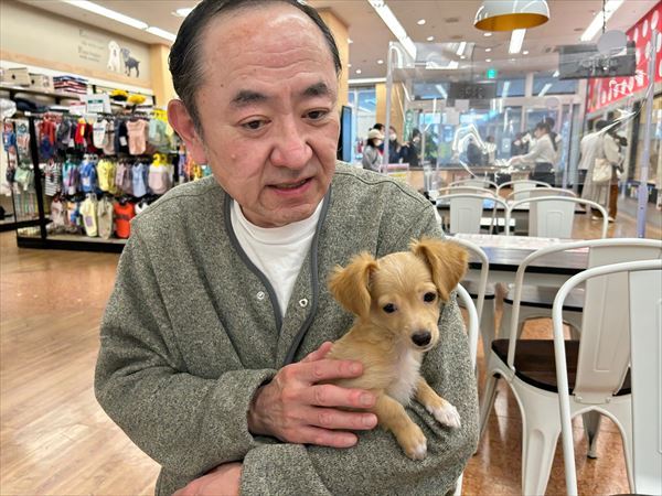 写真