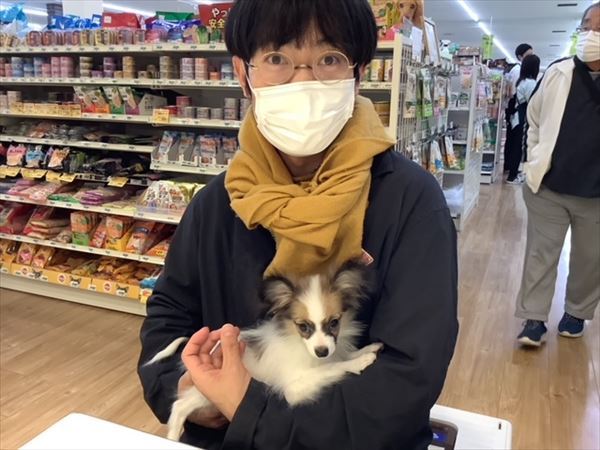 写真