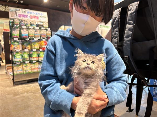 写真