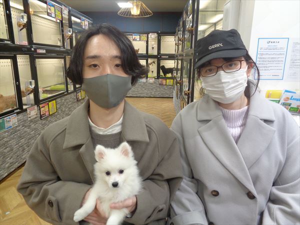 写真