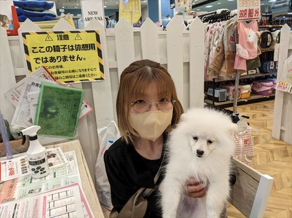 写真