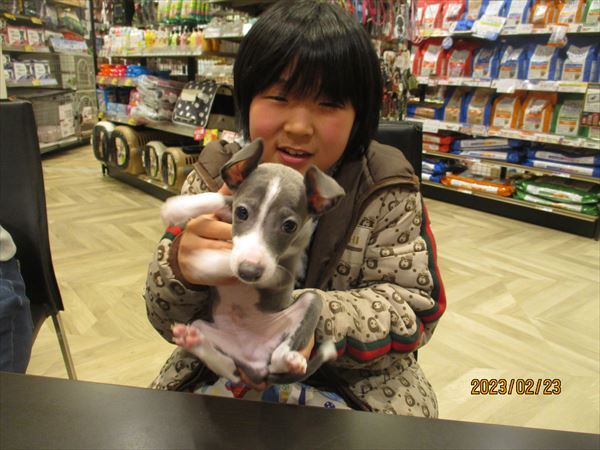 写真
