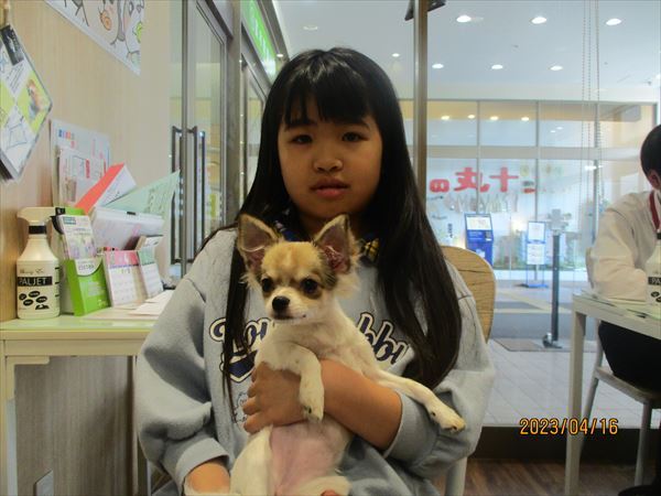 写真