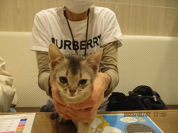 写真