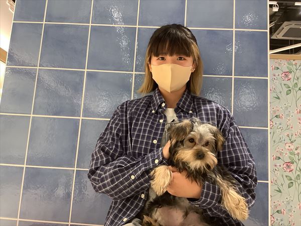 写真