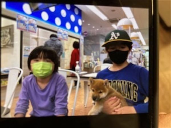 写真