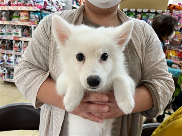 写真