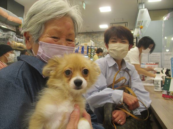 写真
