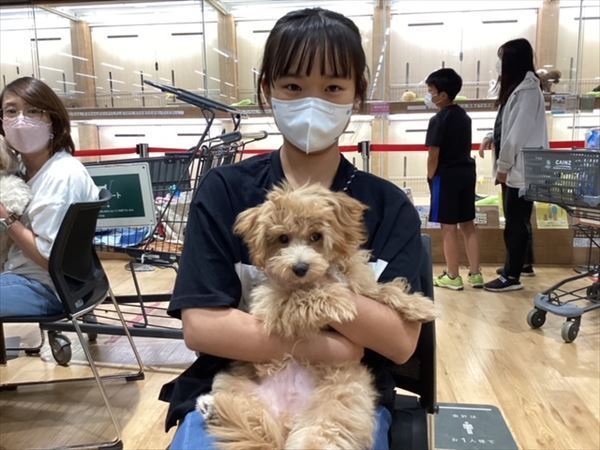 写真
