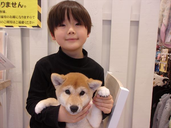 写真