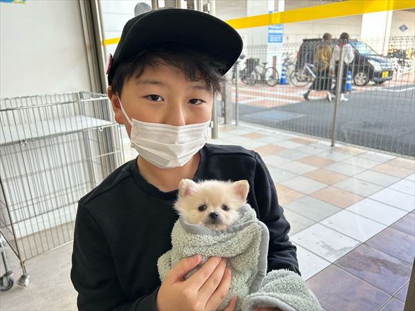 写真