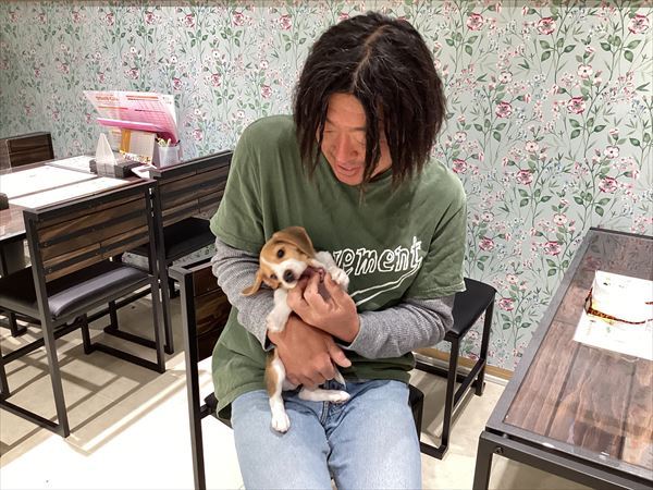 写真