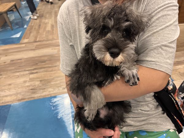 写真