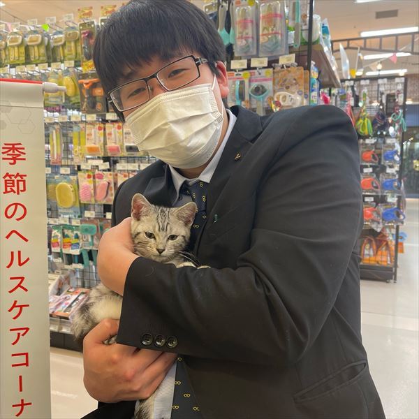 写真