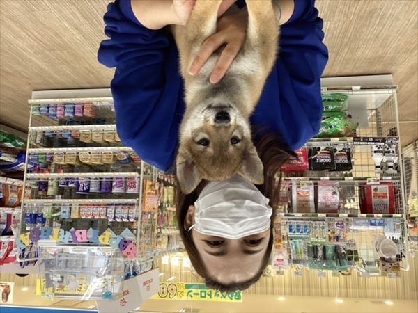 写真