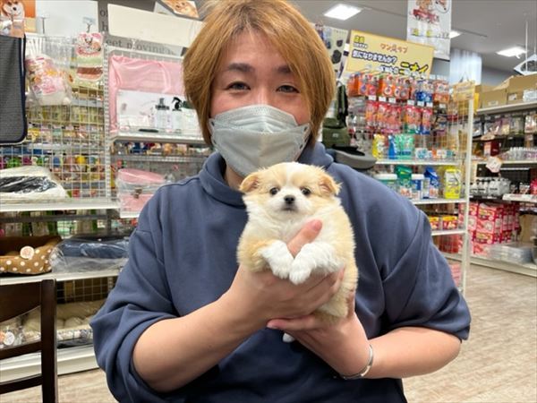 写真