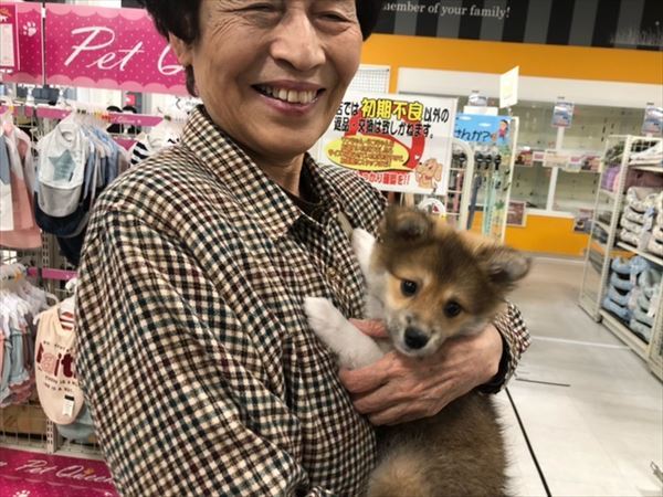 写真