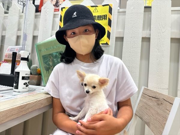 写真