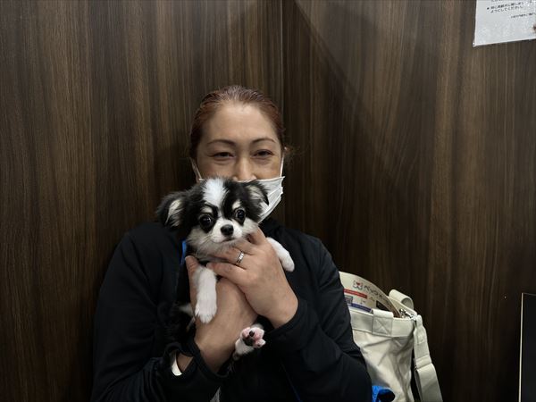 写真