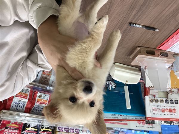 写真