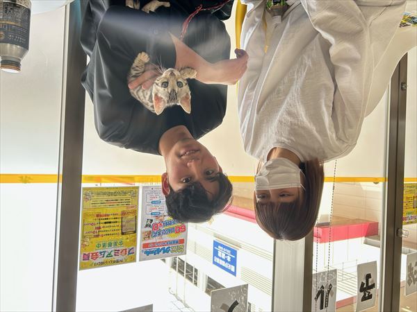 写真
