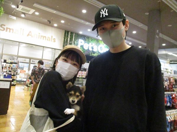 写真