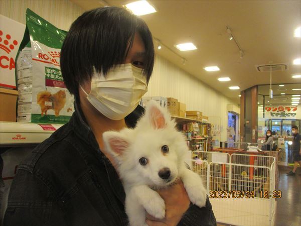 写真