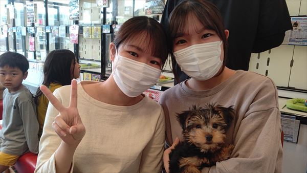 写真
