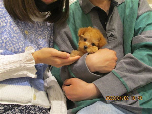 写真