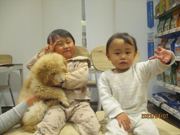 写真