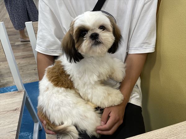写真