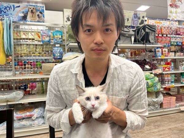 写真