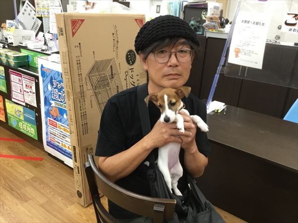 写真