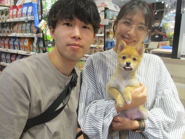 写真